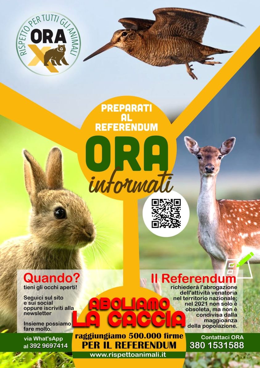 Icon tipo file per 2091_613f002b264f6.jpg