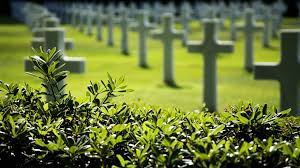 Icon tipo file per 2269_642eae068cc43.jpg